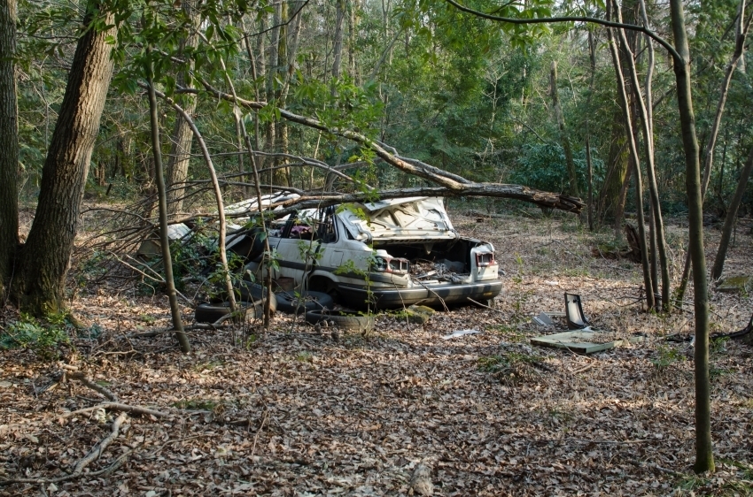 DSC_8936.jpg