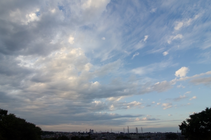 DSC_3374.jpg