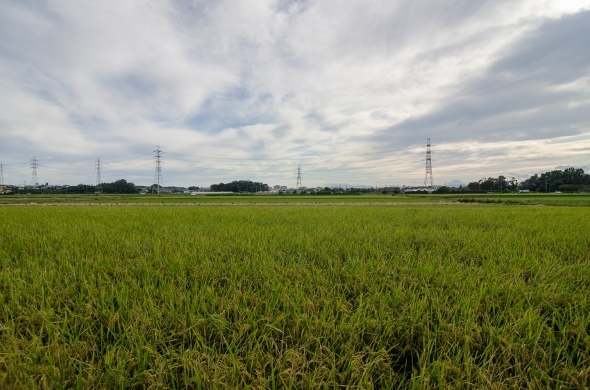 DSC_3418.jpg