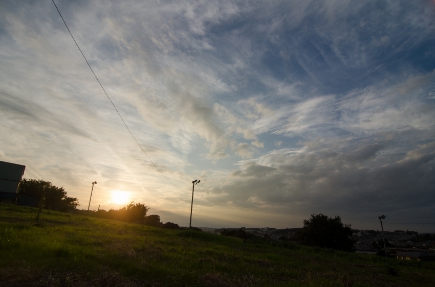 DSC_3509.jpg