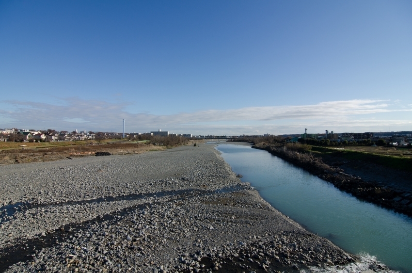 DSC_3677.jpg