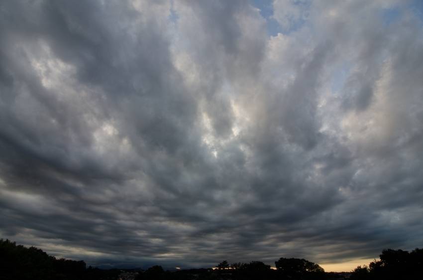 DSC_4422.jpg