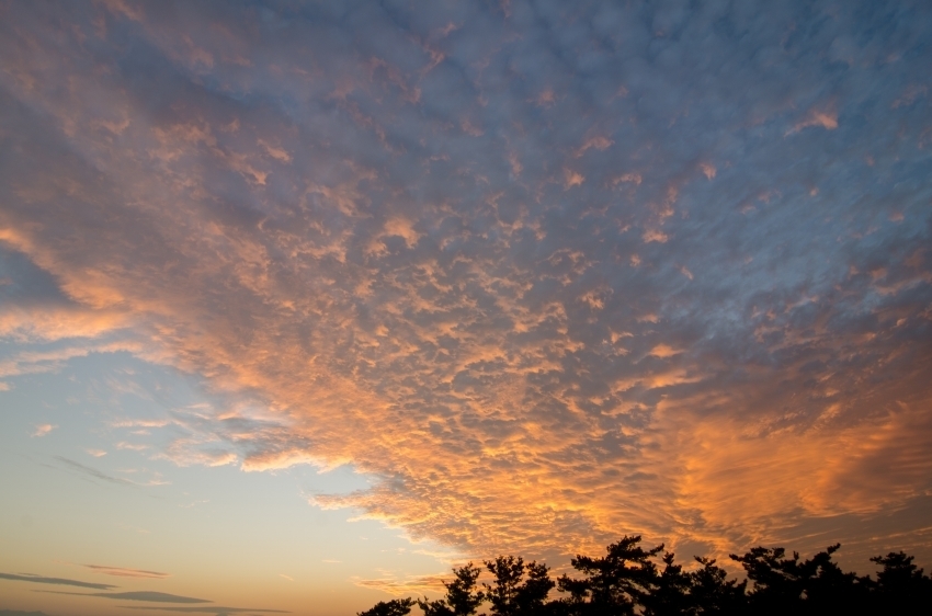 DSC_4742.jpg