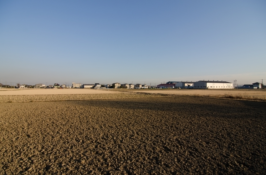 DSC_6301.jpg