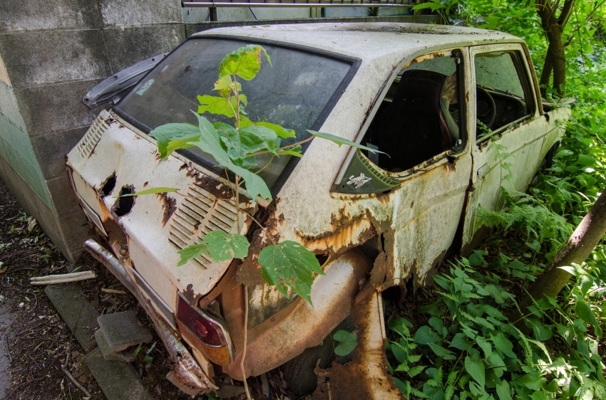 DSC_8903.jpg