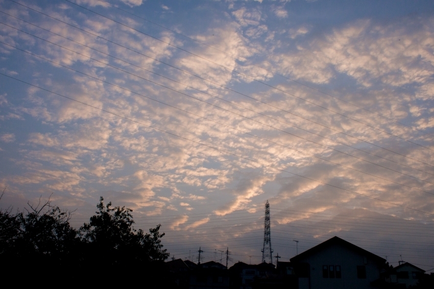 P9161976.jpg