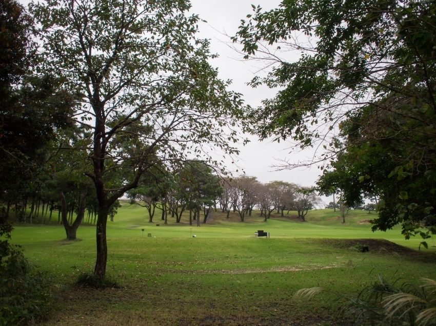 PA183690.jpg